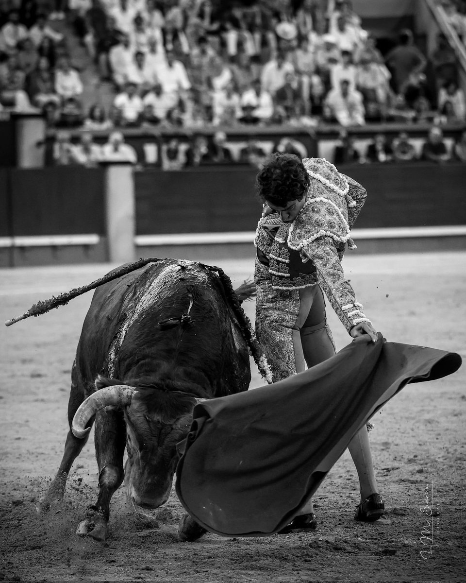 victorhdztorero's tweet photo. Madrid. Constancia. https://t.co/9Q6rpuKivk