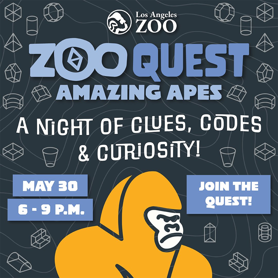 LAZoo's tweet photo. Gather your friends for Zoo Quest: Amazing Apes this weekend! Solve puzzles, enjoy food trucks, live DJs, and fun. Get tickets now at https://t.co/iloM7vMqPp. https://t.co/4KEcqZjW9R