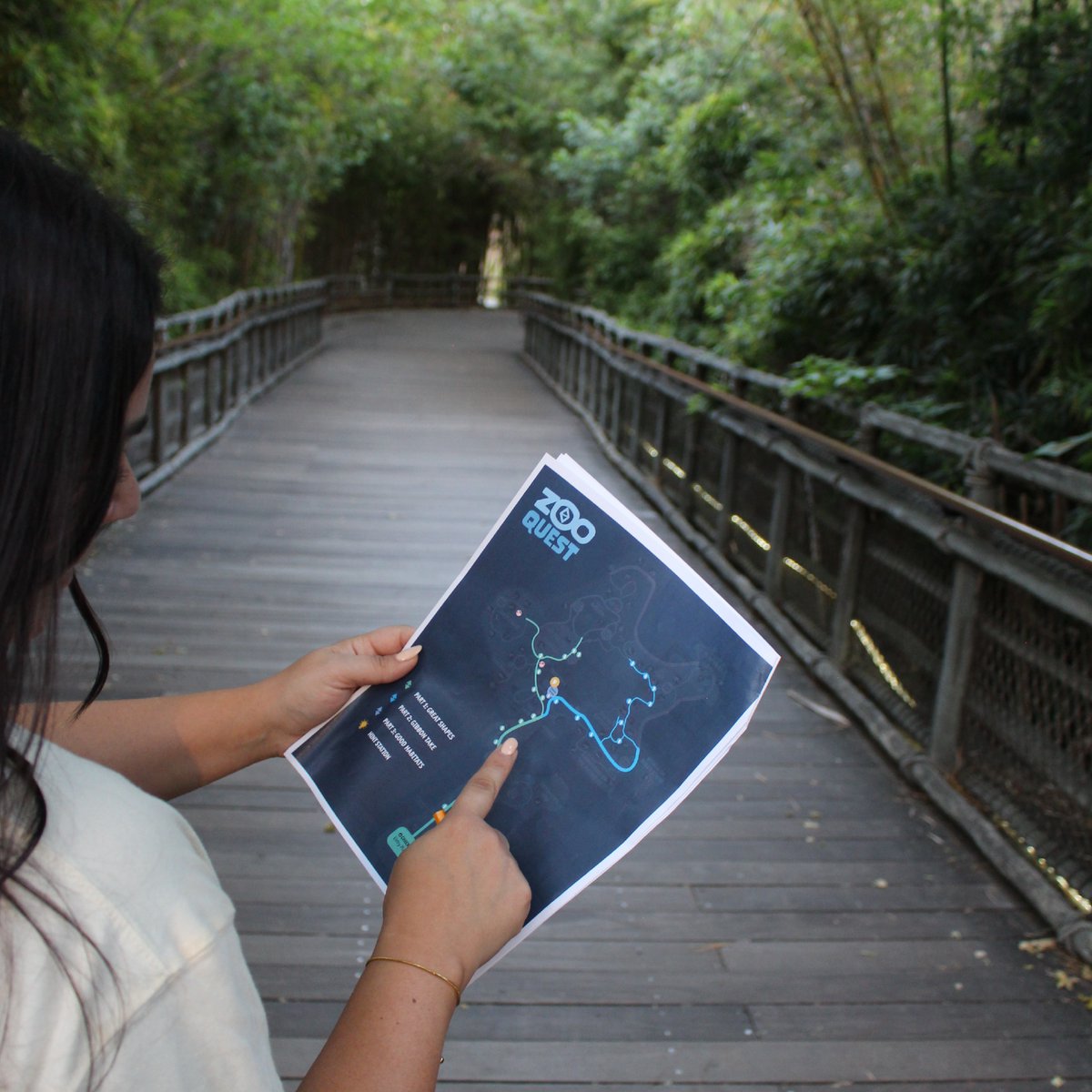 LAZoo's tweet photo. Gather your friends for Zoo Quest: Amazing Apes this weekend! Solve puzzles, enjoy food trucks, live DJs, and fun. Get tickets now at https://t.co/iloM7vMqPp. https://t.co/4KEcqZjW9R