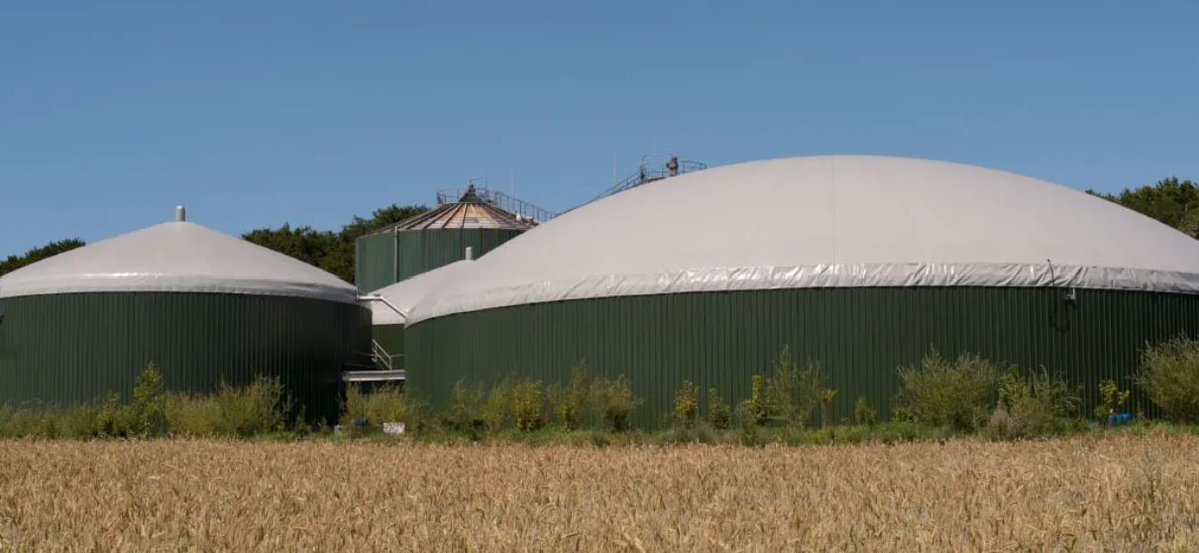 projectsrh's tweet photo. Is Anaerobic Digestion Truly Profitable—or Just Another Energy Narrative?

Anaerobic digestion (AD) is increasingly positioned as a cornerstone of the circular economy, transforming organic waste into renewable energy and valuable byproducts but the real question for investors is whether it stands up as a bankable, scalable investment. 

At Projects RH, we consistently see that profitability in AD projects is not determined by technology alone, but by the strength of capital structure, clarity of revenue streams, and the ability to translate technical potential into an investor ready proposition. While market fundamentals are supportive driven by ESG mandates, policy incentives, and growing demand for renewable energy the projects that secure capital are those built on disciplined financial models, robust documentation, and clear alignment with investor expectations across debt, equity, and grant structures. 

In this context, investor readiness is not a formality; it is a decisive advantage. If you are advancing an anaerobic digestion or bioenergy project that is ready for capitalisation (USD >5M), we invite you to share it with our team at Projects RH and explore how we can support your capital raising strategy.
