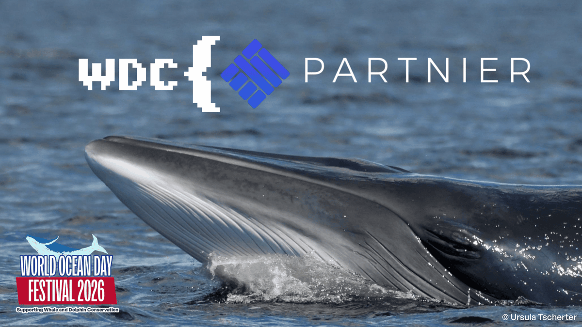GamesForWaves's tweet photo. 📢 Partnier joins #WOD26!

Are you a streamer or creator? Starting today for our World Ocean Day Festival, we're partnering with Keymailer, and you can sign up to play and stream games from our upcoming Steam sale while supporting WDC!

👉 https://t.co/6KtyS0obVH https://t.co/sdkwXyxfal