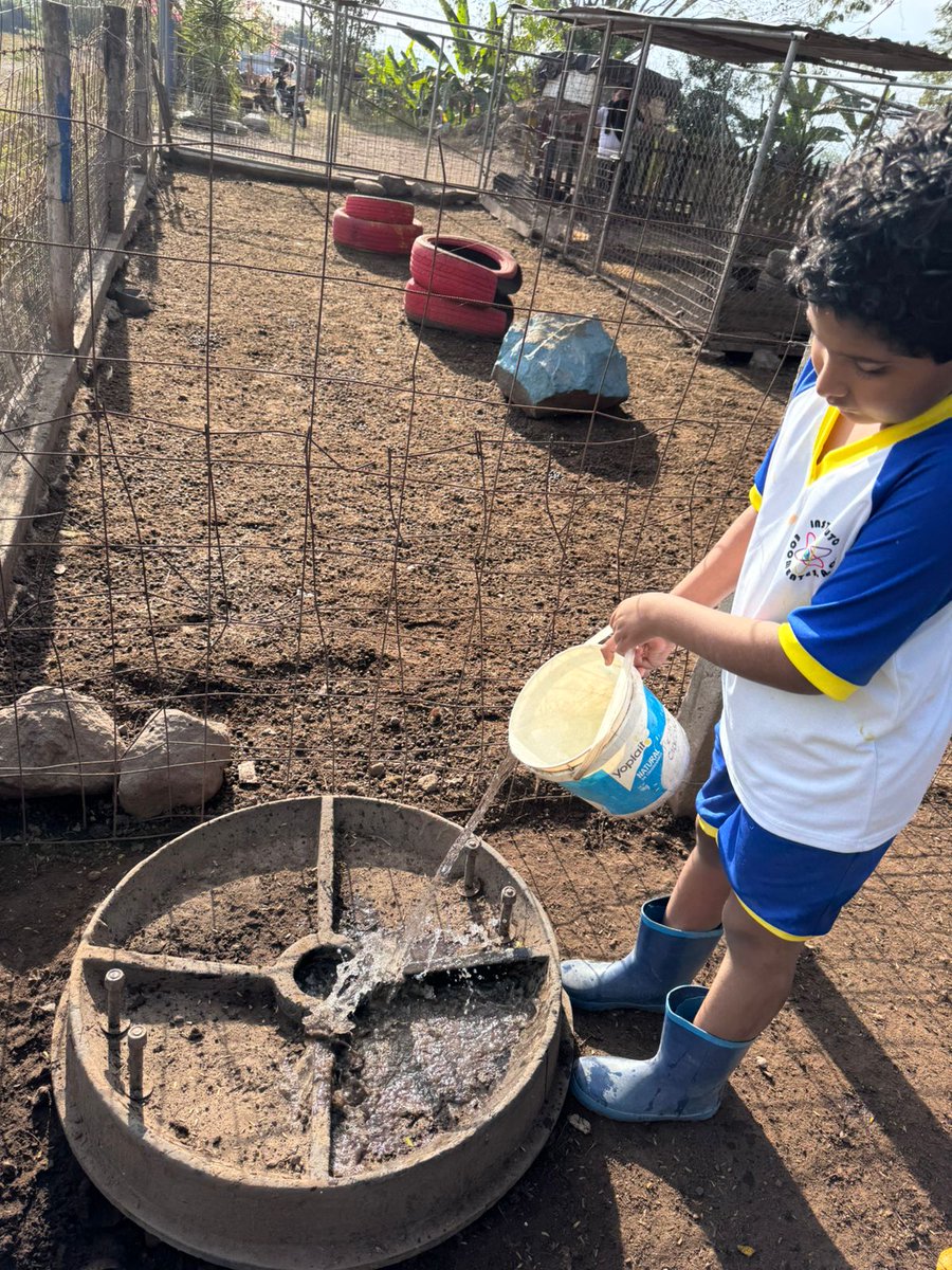 Ecomentesac's tweet photo. Perder el orden y la limpieza en los corrales es perder el control de la producción, por eso los granjeritos dentro de sus actividades pecuarias una parte de su jornada la destinan a esto. Ordenando y la limpiando corrales los pequeños Ecomentes están construyendo un mundo mejor. https://t.co/TTHkMmTK9H