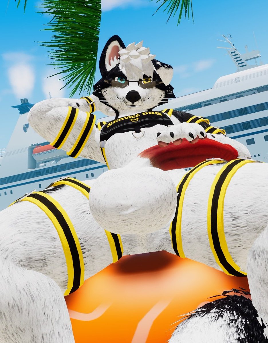 SkyleCollie's tweet photo. Hey! Nice day for the beach, right? 🏖️ https://t.co/wJPtmwZLYf