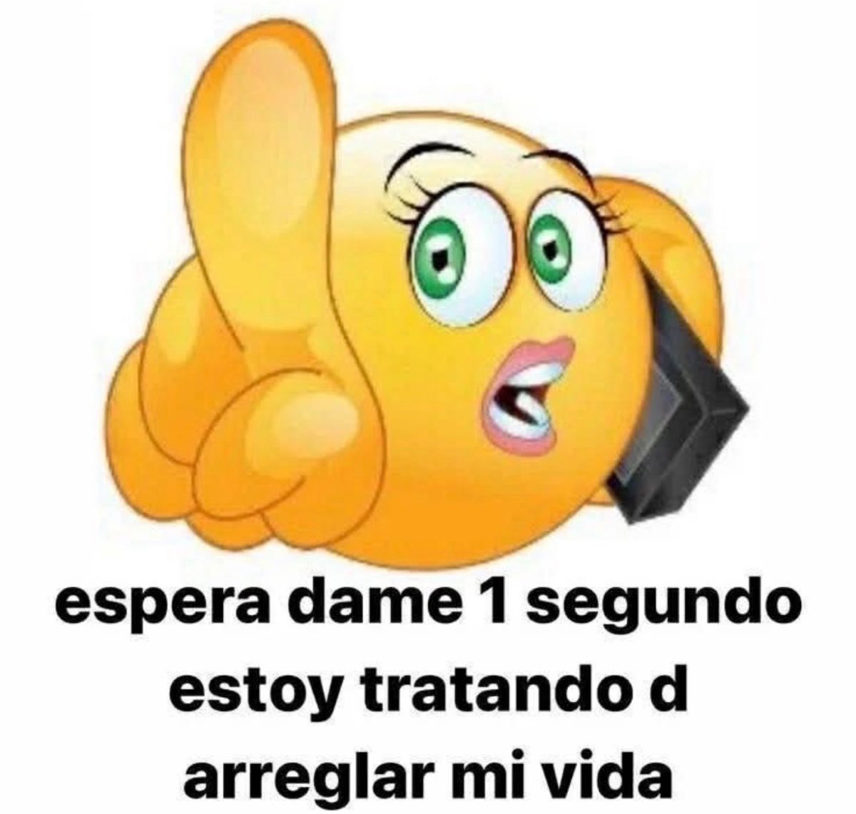 Yixus tweet media