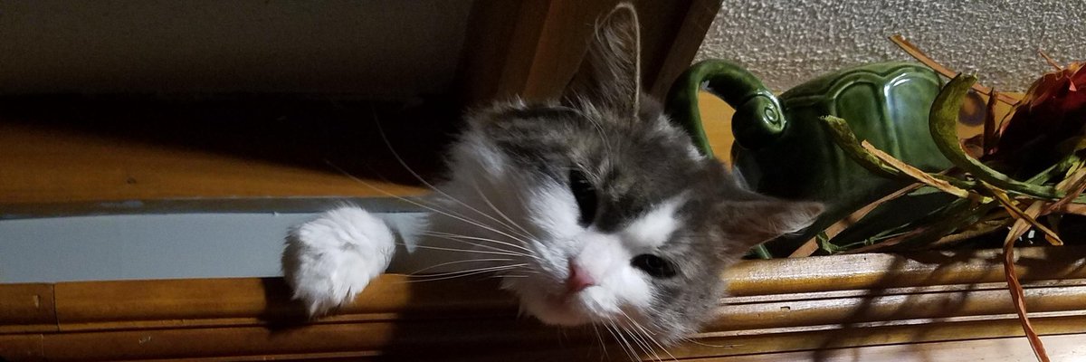 Mason tweet media