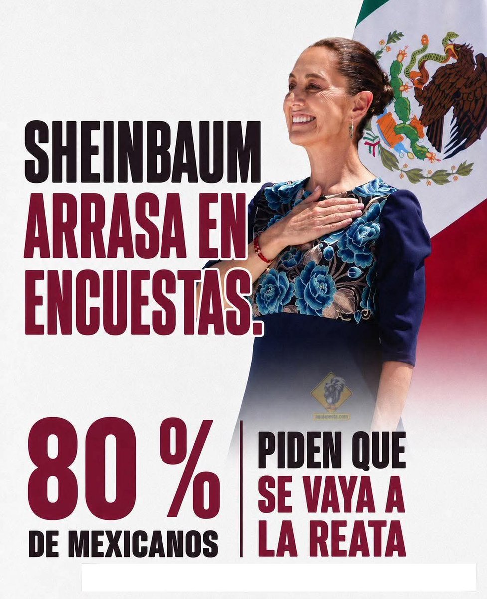 JorgeACCH's tweet photo. @PartidoMorenaMx @Claudiashein https://t.co/Iq554fDsgi