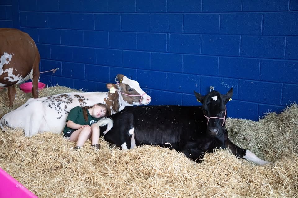 peternash1972's tweet photo. Bath and west today Andy Clarke 

@AndyBennett01 

Martin clunes 

And sleeping beauty 

@BathandWest https://t.co/wnycBsrvLS