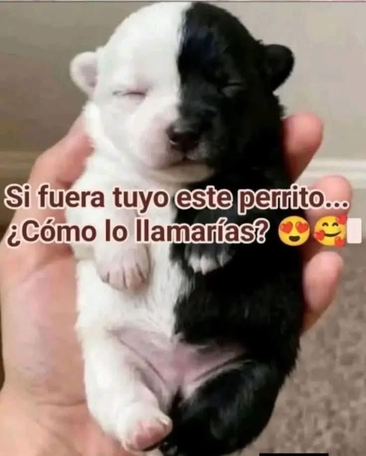 Marco A Escalante 🇲🇽 tweet media