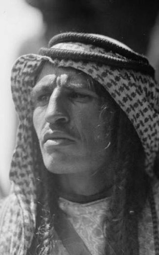 Arab Horner tweet media
