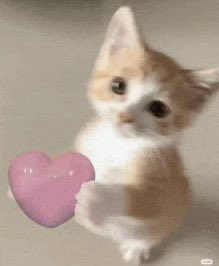 Dιmᥲsqᥙᥱ́ ✨ tweet media