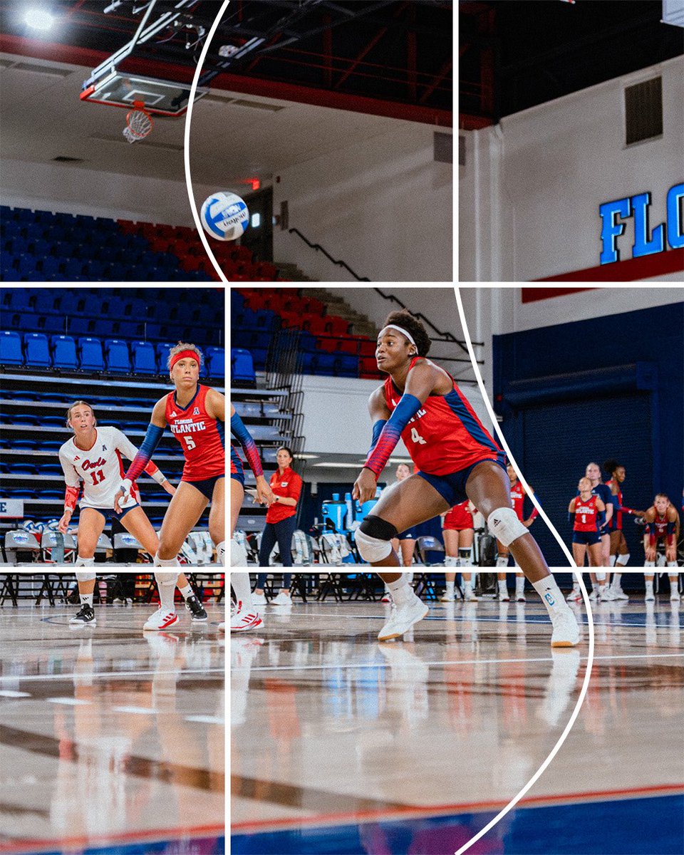 FAUVolleyball's tweet photo. Breaking limits 😤🔥

#WIP🏝️ https://t.co/xvtcjzISDO