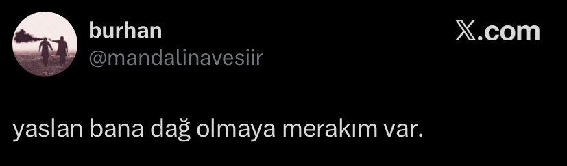 YzbRaspberry tweet media