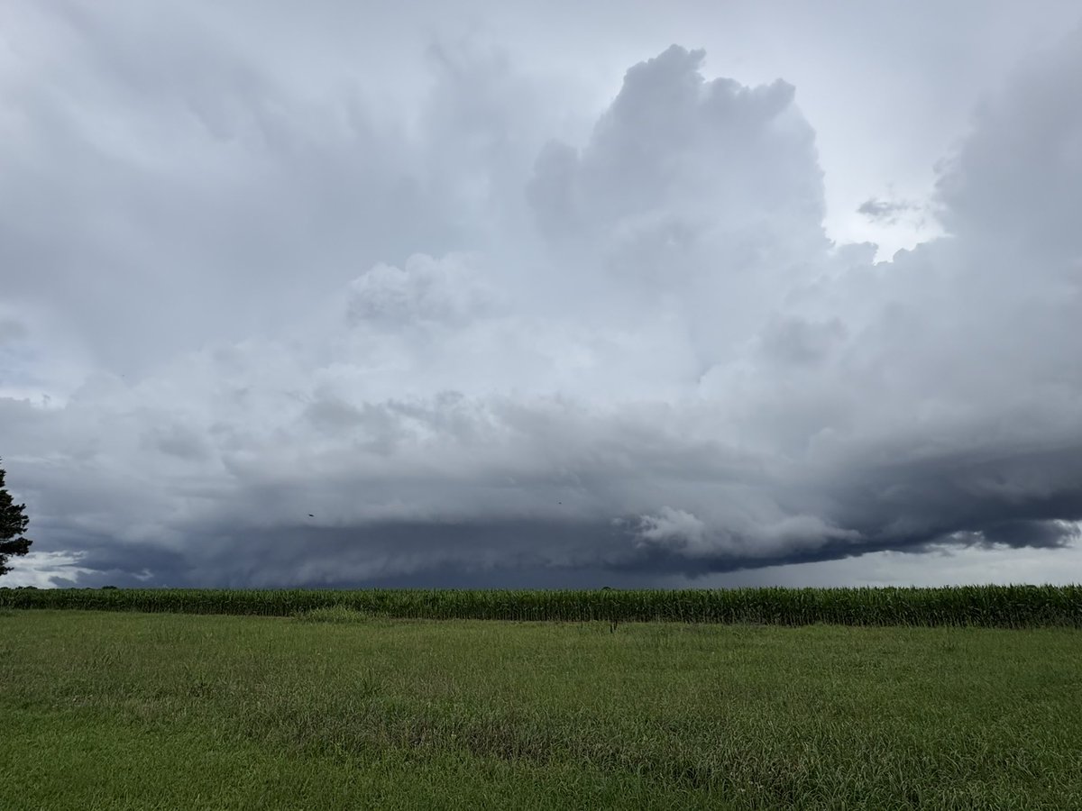 britttg_94's tweet photo. Looking rough in Atmore. ☁️ 

@NWSMobile @spann @AlabamaWXNet @rzweather @KNBHwx @ThomasGeboyWX @WKRGEd @textamet #ALwx https://t.co/De7oPYKsWo