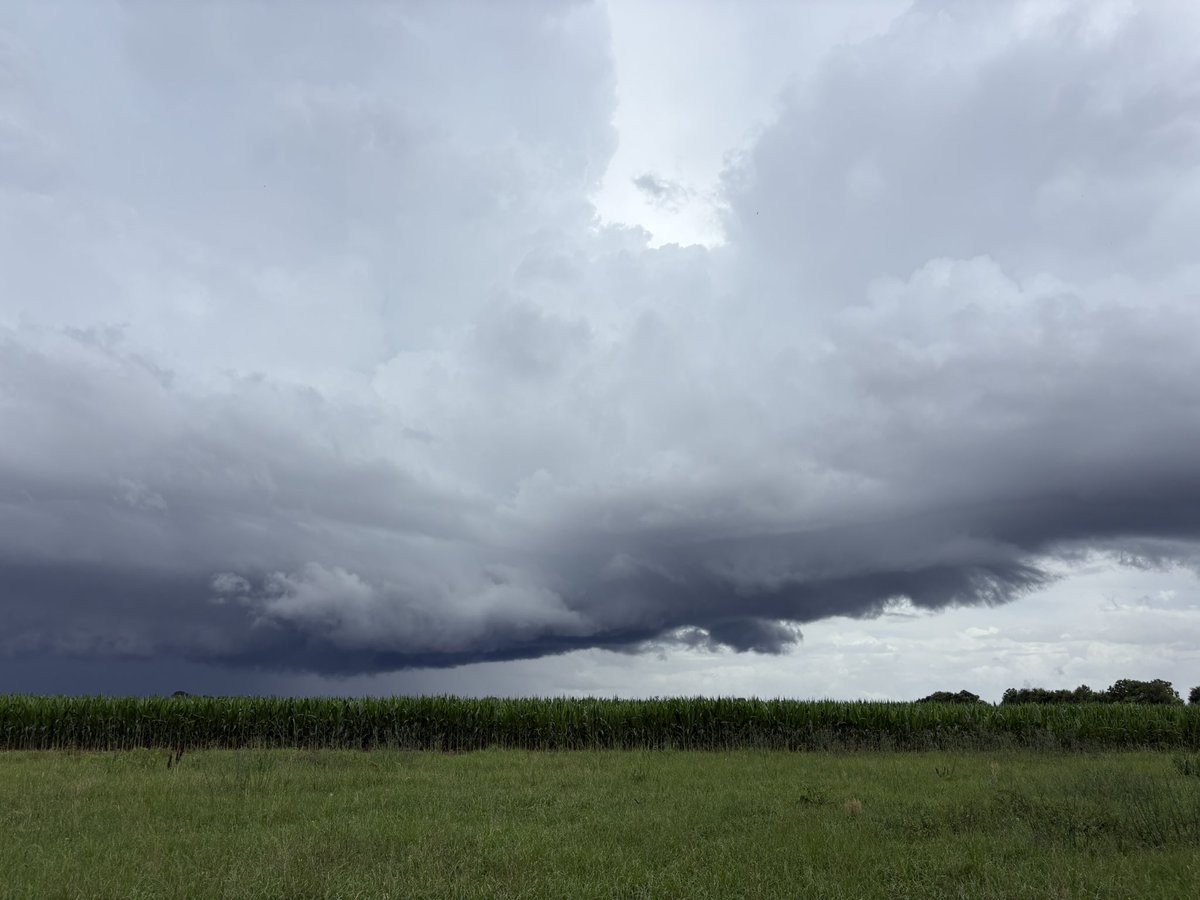 britttg_94's tweet photo. Looking rough in Atmore. ☁️ 

@NWSMobile @spann @AlabamaWXNet @rzweather @KNBHwx @ThomasGeboyWX @WKRGEd @textamet #ALwx https://t.co/De7oPYKsWo
