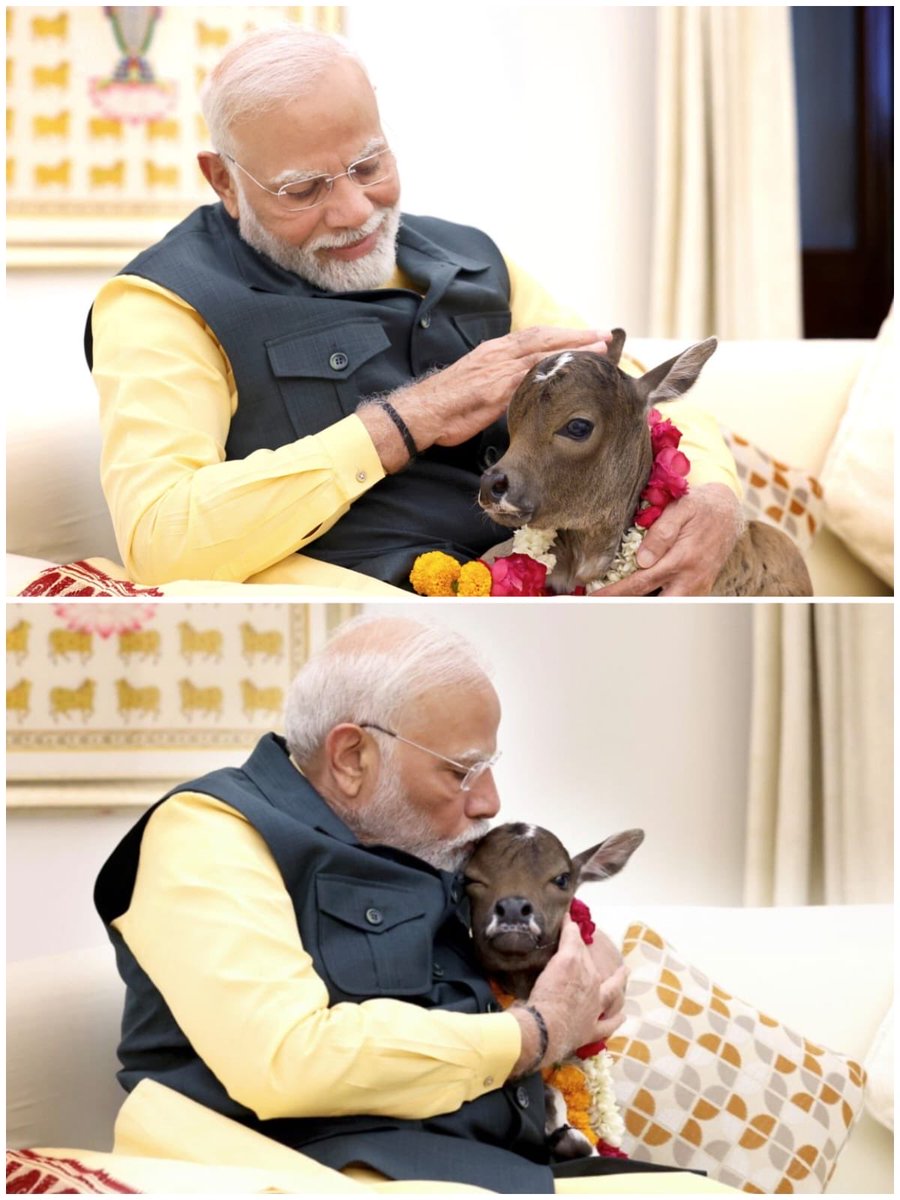 Apurva Singh tweet media