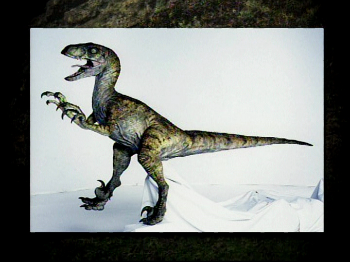 FelipeHumboldt's tweet photo. Lost World #jurassicpark female Velociraptor, major difference from JP1 females are the well defined stripes along the body, other than the patterns, the color palette is almost identical.

Is easier to think as such:
JP 1 -> Jaguars
JP 2 -> Tigers https://t.co/ONNXsF8dwI