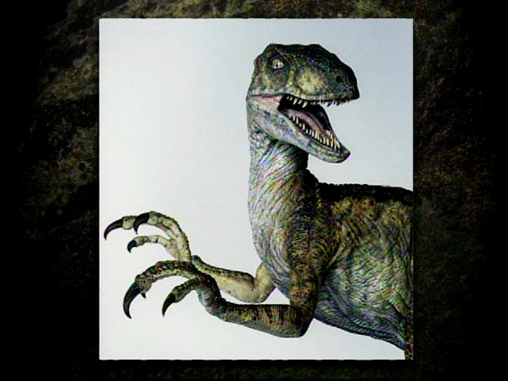 FelipeHumboldt's tweet photo. Lost World #jurassicpark female Velociraptor, major difference from JP1 females are the well defined stripes along the body, other than the patterns, the color palette is almost identical.

Is easier to think as such:
JP 1 -> Jaguars
JP 2 -> Tigers https://t.co/ONNXsF8dwI