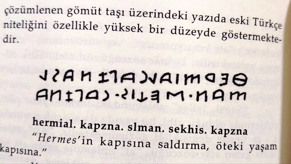 Ertürk Özel tweet media