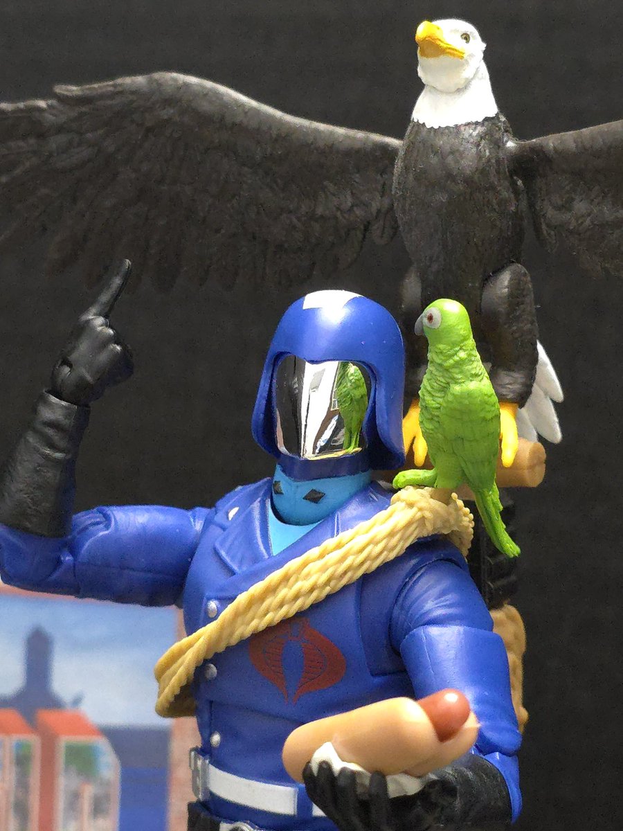 Mr_O1230's tweet photo. Silly Goose!
#Hasbro #Classified #GIJoe #YoJoe #Cobra #raddad https://t.co/ZI3VW8nAYN