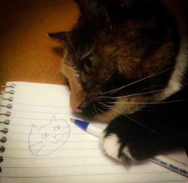 smol silly cat tweet media
