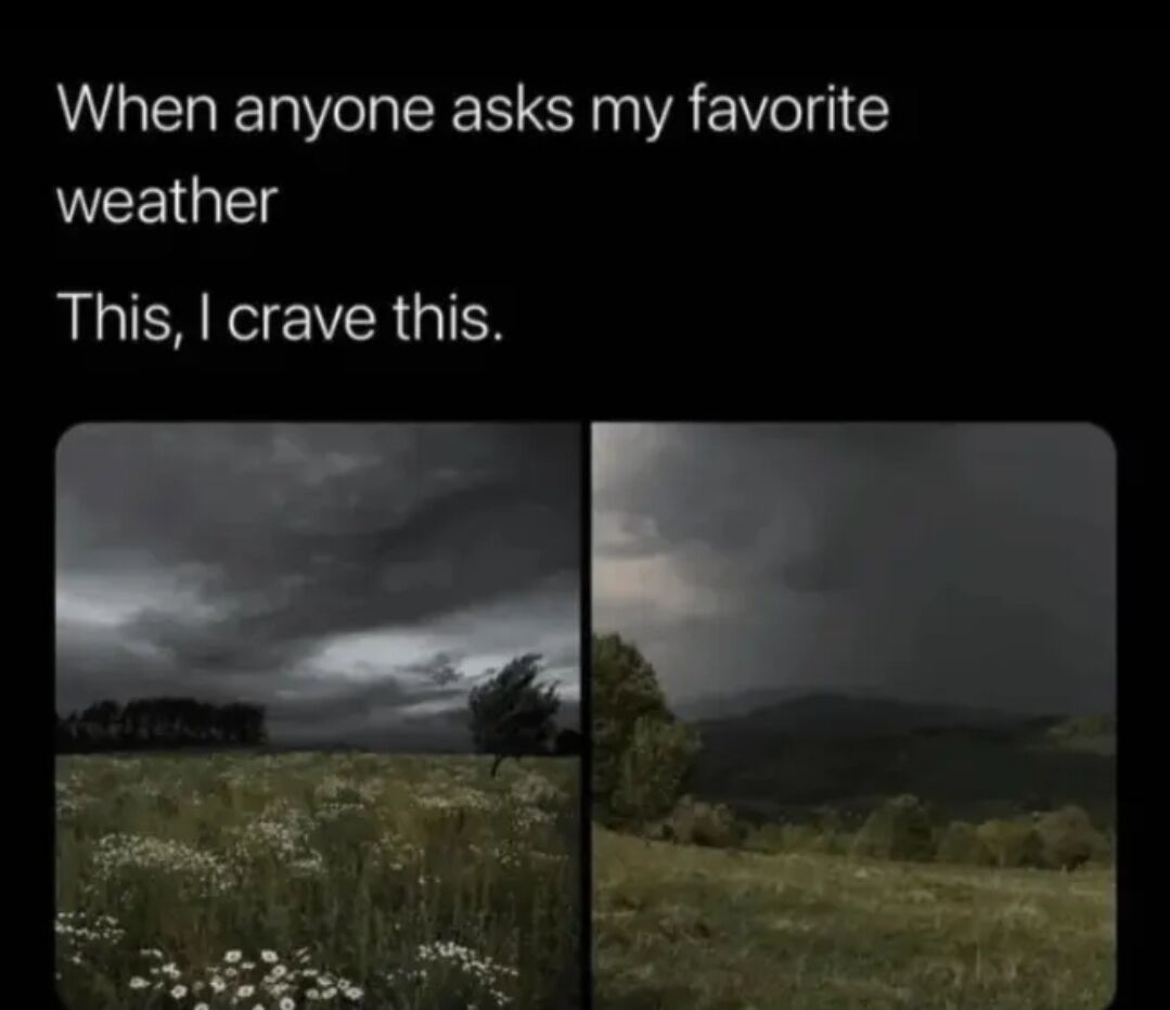 WholesomeMeme's tweet photo. https://t.co/AX5AJNbAtw