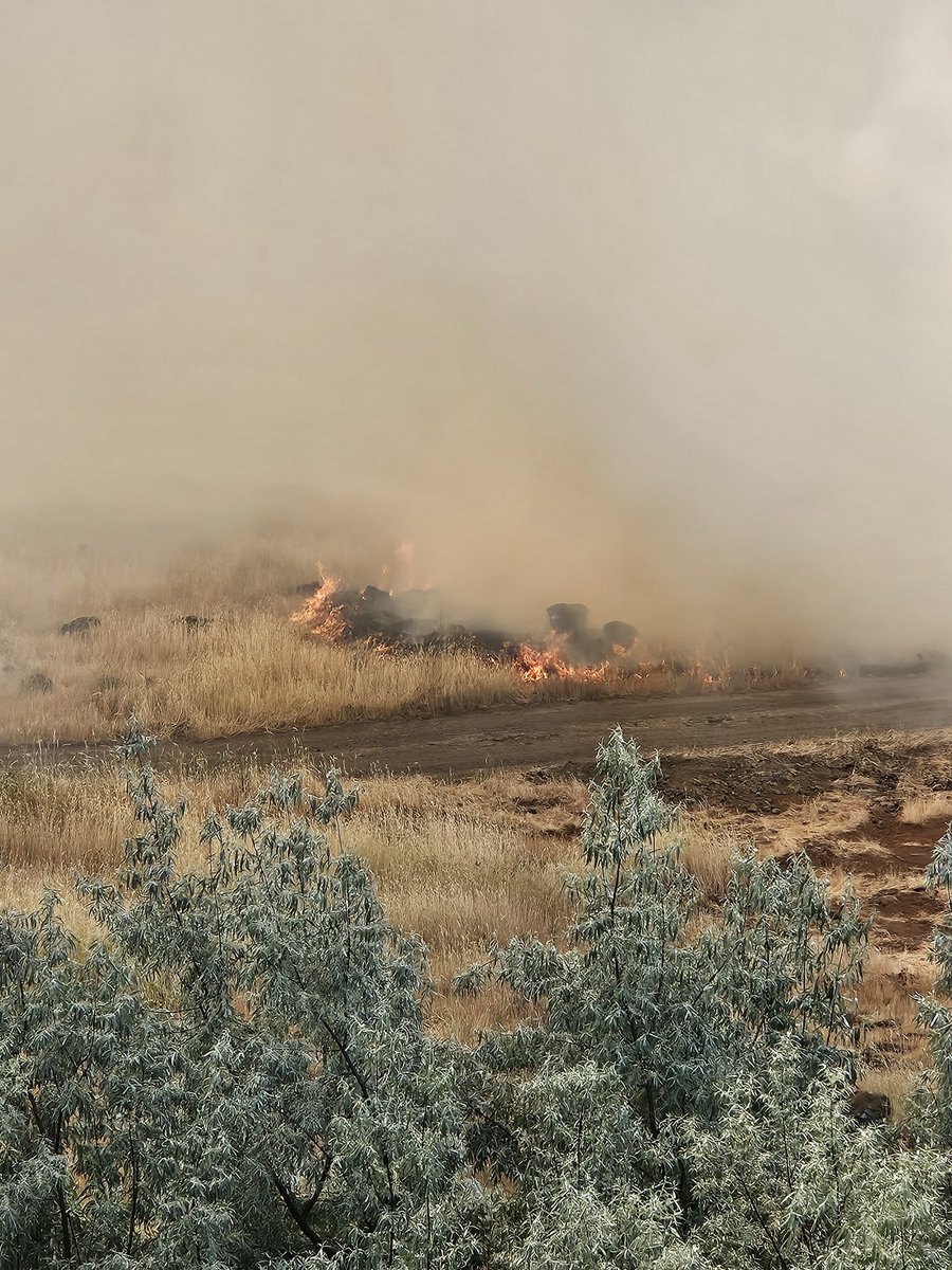 TheDallesPolice's tweet photo. No structures are involved at this time. MCFR is making progress towards containment. https://t.co/Yl709bWo69