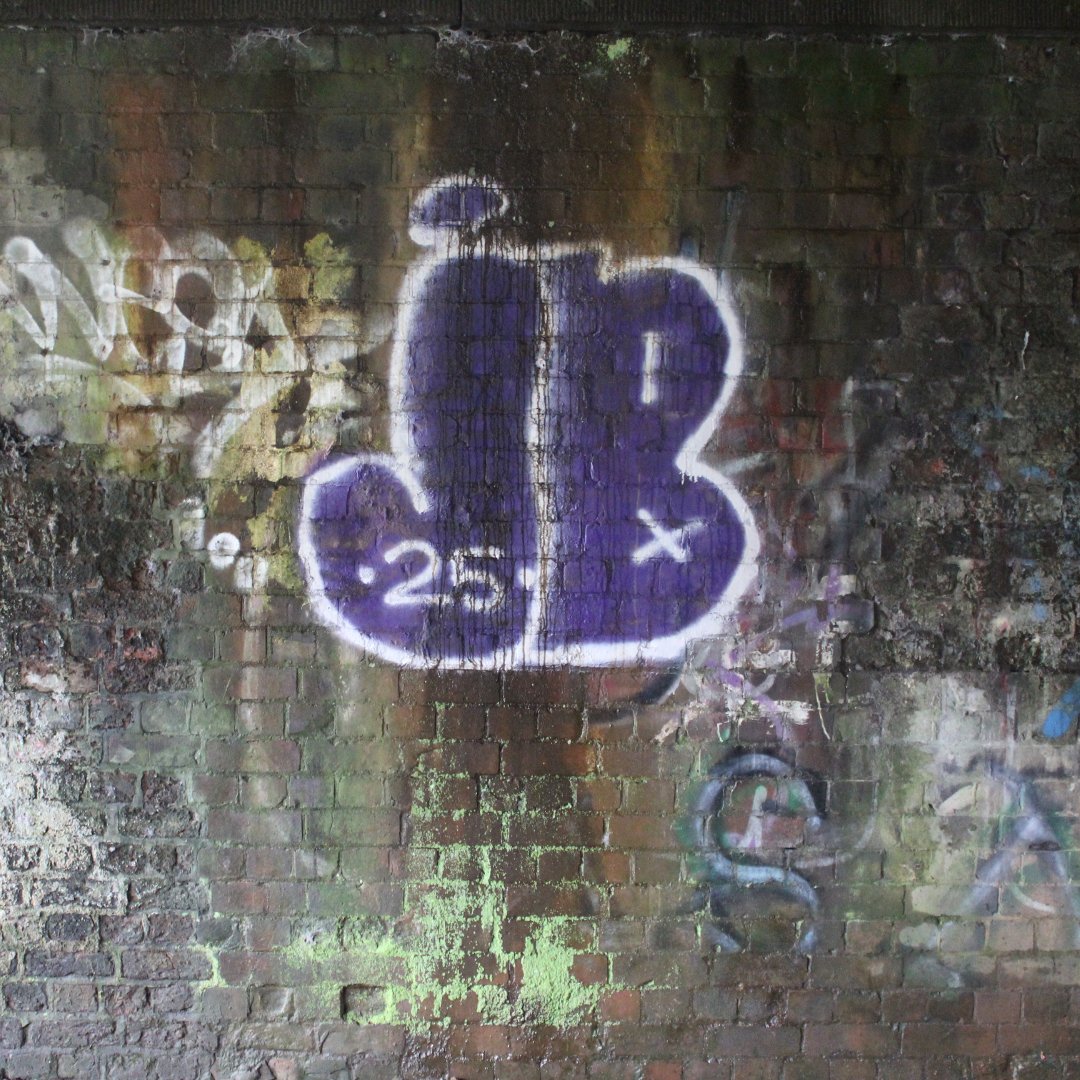 LittleAlis71829's tweet photo. Hidden beneath Liverpool’s streets, the forgotten Loop Line has become an unlikely frontline for the city’s politics, fears and creative energy. Our latest piece explores how this neglected corridor. . . 
👉 https://t.co/F6PTF1YxOj
#Graffiti    #StreetArt    #LiverpoolLoopLine https://t.co/DDXBc2BADn