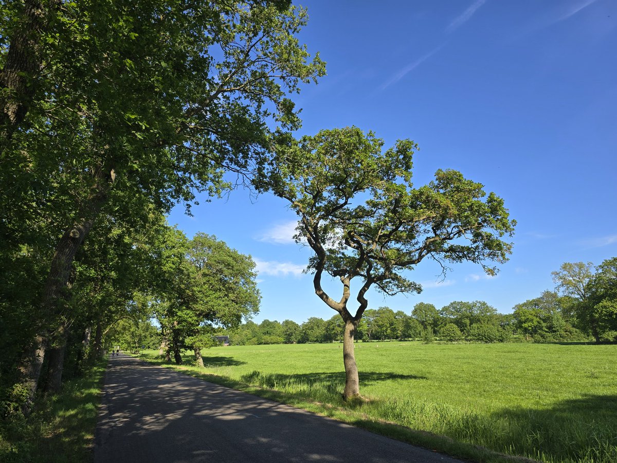 Simon_Westerhof's tweet photo. Dag 1: En na de overtocht zijn we aan de wal via allerlei binnendoor weggetjes aangekomen op een kl. camping tussen Nietap &amp; Leutingewolde in Drenthe. Wat een mooie plek. Het is stil achter de hoeve. Door het ontbreken van luxe &amp; opsmuk is het genieten van de eenvoud. Tot morgen. https://t.co/JdGzKb63sm