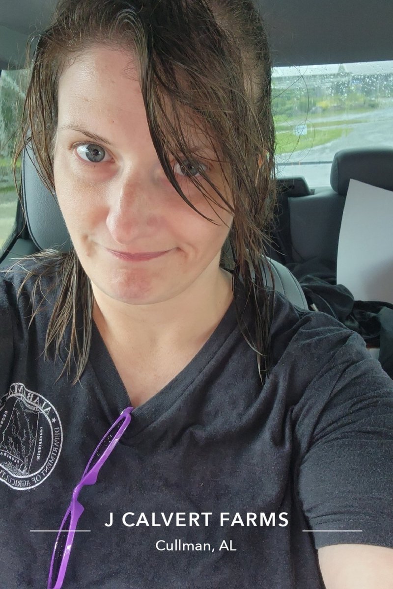 Heather_R2020's tweet photo. Inspecting one of my favorite produce growers’ farms and the bottom falls out. Still love my job though, even if this time of year means getting rained on now and then. #ProduceSafety #ALDeptOfAg #FarmInspection #ILoveMyJob  #NorthAL https://t.co/NUBhdMcB0t