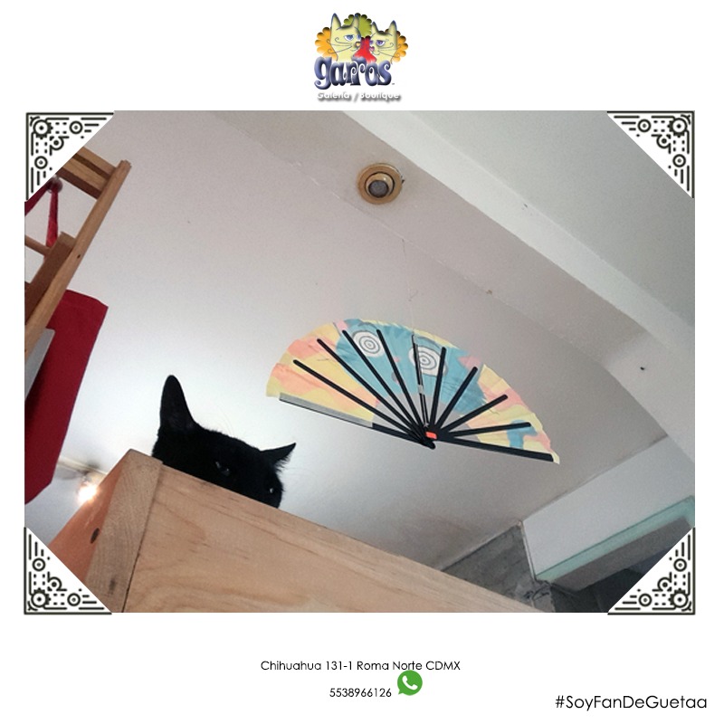 GarrosCCR's tweet photo. ¿Calor?

#Guetaa les tiene una solución natural: ¡ #abanicos !

#GarrosBoutique cuenta con una variedad en arte que plasma colores y diseños en #gatos #orientales.

Visítanos en calle Chihuahua 131-1, colonia Roma Norte, #cdmx .

Informes por WhatsApp 55 3896 6126 

México. https://t.co/9nAEc3RgQu