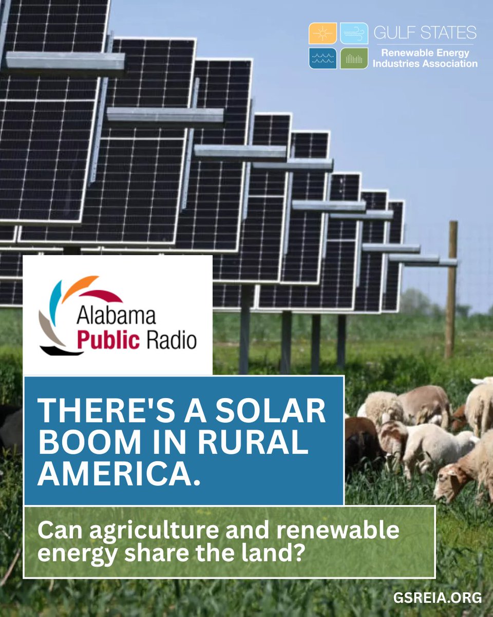 GSRenew's tweet photo. Across the South and beyond, solar energy is creating new opportunities for farmers, landowners, and local economies. From diversified income streams to dual-use land strategies like agrivoltaics, renewable energy and agriculture can work hand-in-hand to strengthen rural communities while helping meet growing energy demand. 🌱☀️

As the Gulf Coast continues to grow, smart energy development can ensure working lands stay productive for generations to come. Read more. https://t.co/i3NAr0FaE1
