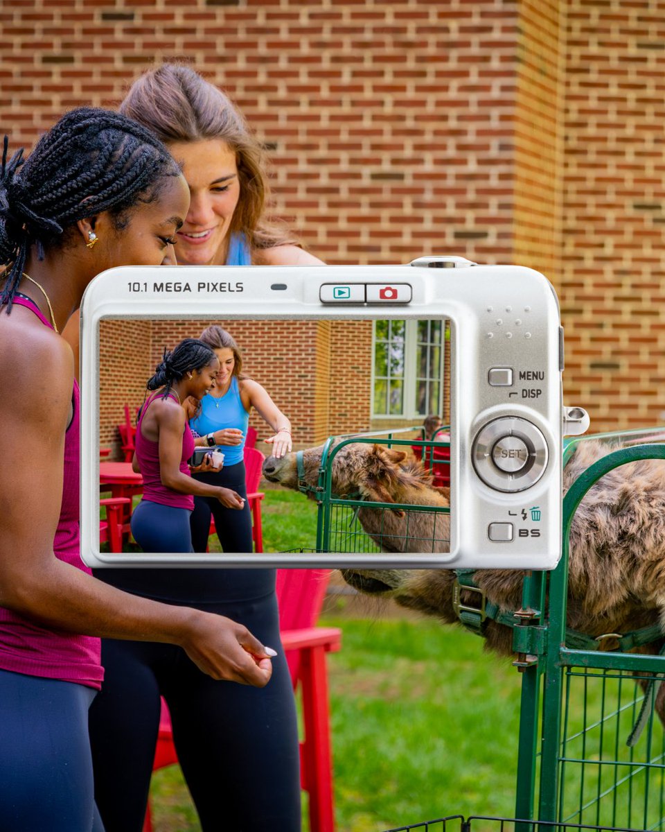 ShenandoahU's tweet photo. we miss you guys 😭 https://t.co/dEbZFqlZk5