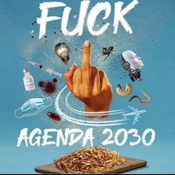 tekiyaome's tweet photo. @Konspy1 Callate tú zorra, que es GEOINGENIERÍA de los putos globalistas woke, investiga y apaga la tele, pedazo de idiota. https://t.co/NTnvhoHGMa