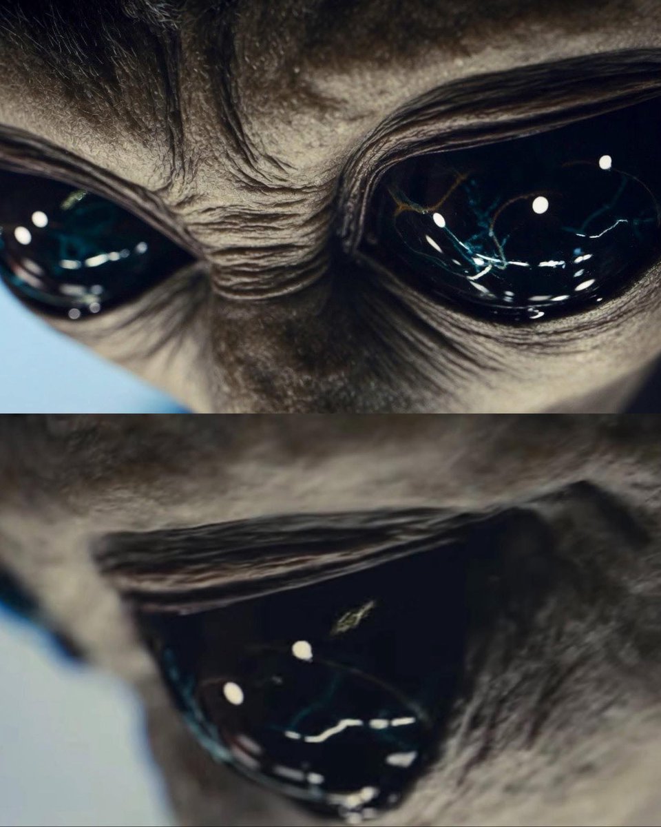 ELDBlaboratorio's tweet photo. ¡POR FIN! El mejor vistazo al
Alien de la película El Día De La Revelación de Steven Spielberg. #eldiadelarevelación #cine
#estrenosdecine #stevenspielberg https://t.co/jhvb2ovzef
