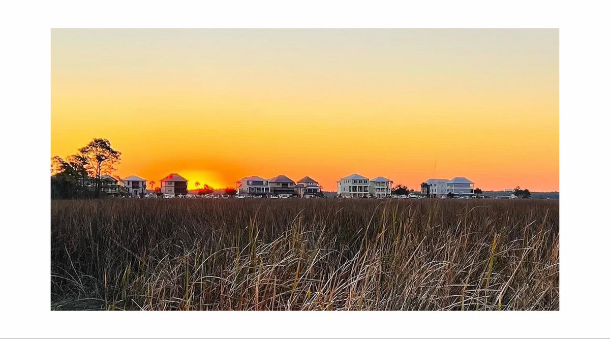 chrishinton74's tweet photo. I sale art and my photography prints . My mediums are oil , acrylic and a Nikon z . Oyster Bay sunrise  GulfShores AL. @IngrahamAngle https://t.co/YhE0VoRzrQ