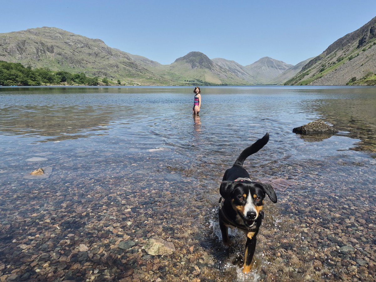pickerchu's tweet photo. Top Few Days in the lesser visited North and West Lake District.

Day 1 Wasdale
Day 2 Buttermere
Day 3 Whinlatter
Day 4 Ennerdale

All amazing but highlight definitely #ScoutForce (See previous post) https://t.co/Y2YTh8Xery