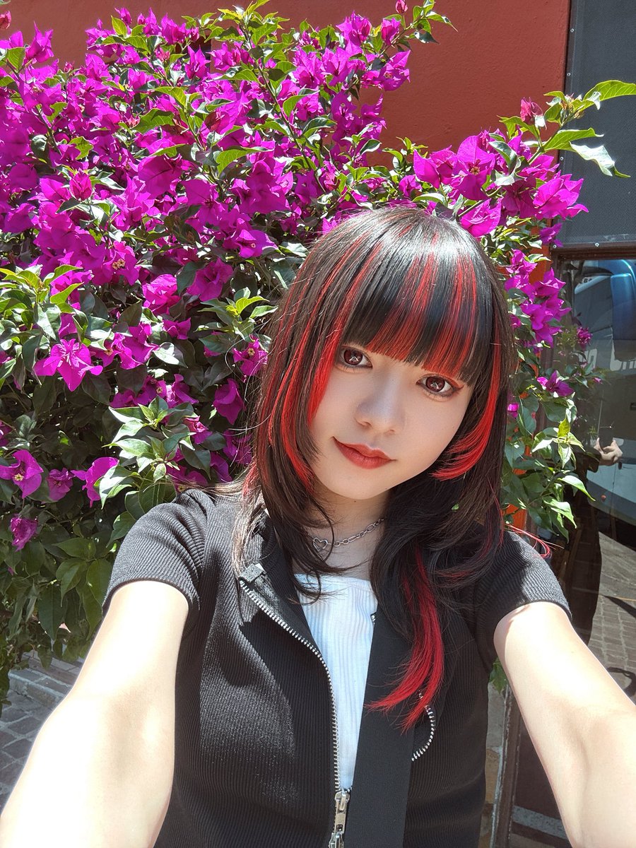 ちゃる様確認用 Cha'R (@ChaR_uta) / Posts / X