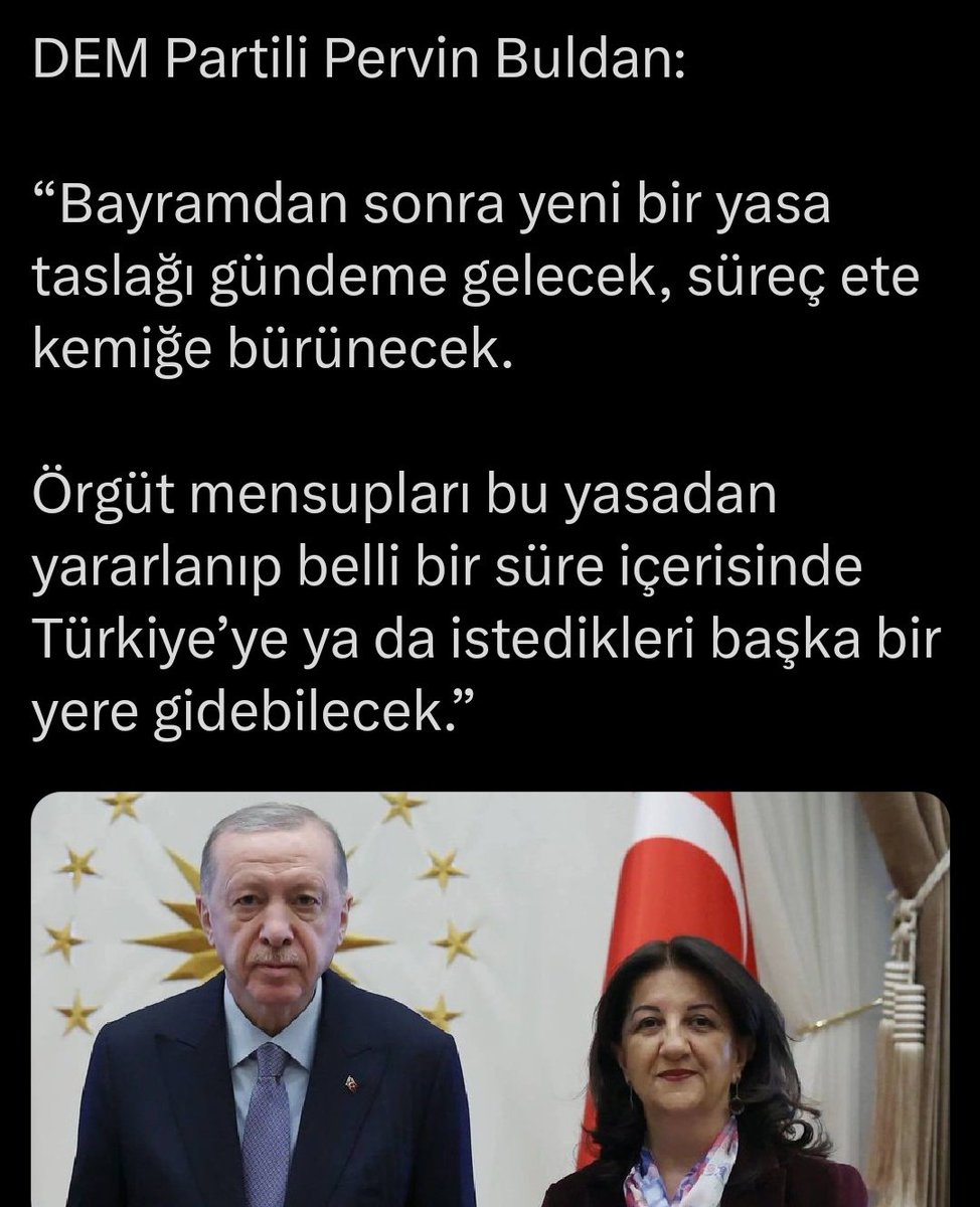 İris Cibre 🐦 tweet media