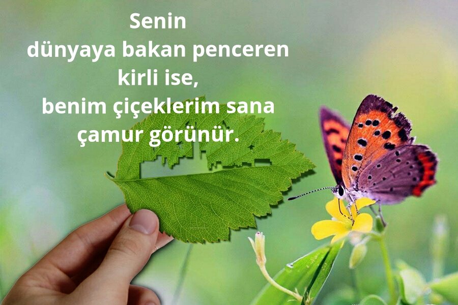 medcezirman's tweet photo. KHK Mağdurları,
Adalet Arıyor.
#KHKlınınBayramı https://t.co/ZCfaVQa6p3