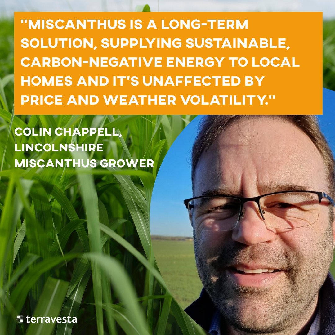 Terravesta's tweet photo. After nearly 20 years of growing Miscanthus, Lincolnshire arable farmer Colin Chappell has expanded his crop area with a new planting of Terravesta Athena on lower-performing land.

Read Colin’s story👉https://t.co/z0lH0LORrD

#Farming #Agriculture #FarmLife #Miscanthus https://t.co/xtAmrYSCrH