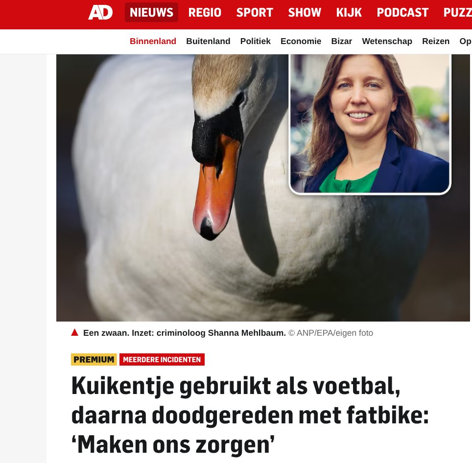 Arthur van Amerongen tweet media