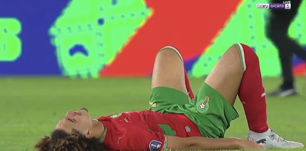 بوابة الجزائر - Algeria Gate tweet media