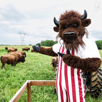 B89Adam's tweet photo. BuT tHerE’s nO biSOn in InDIanA!!!

#NewProfilePic https://t.co/FjPT8IjCmP