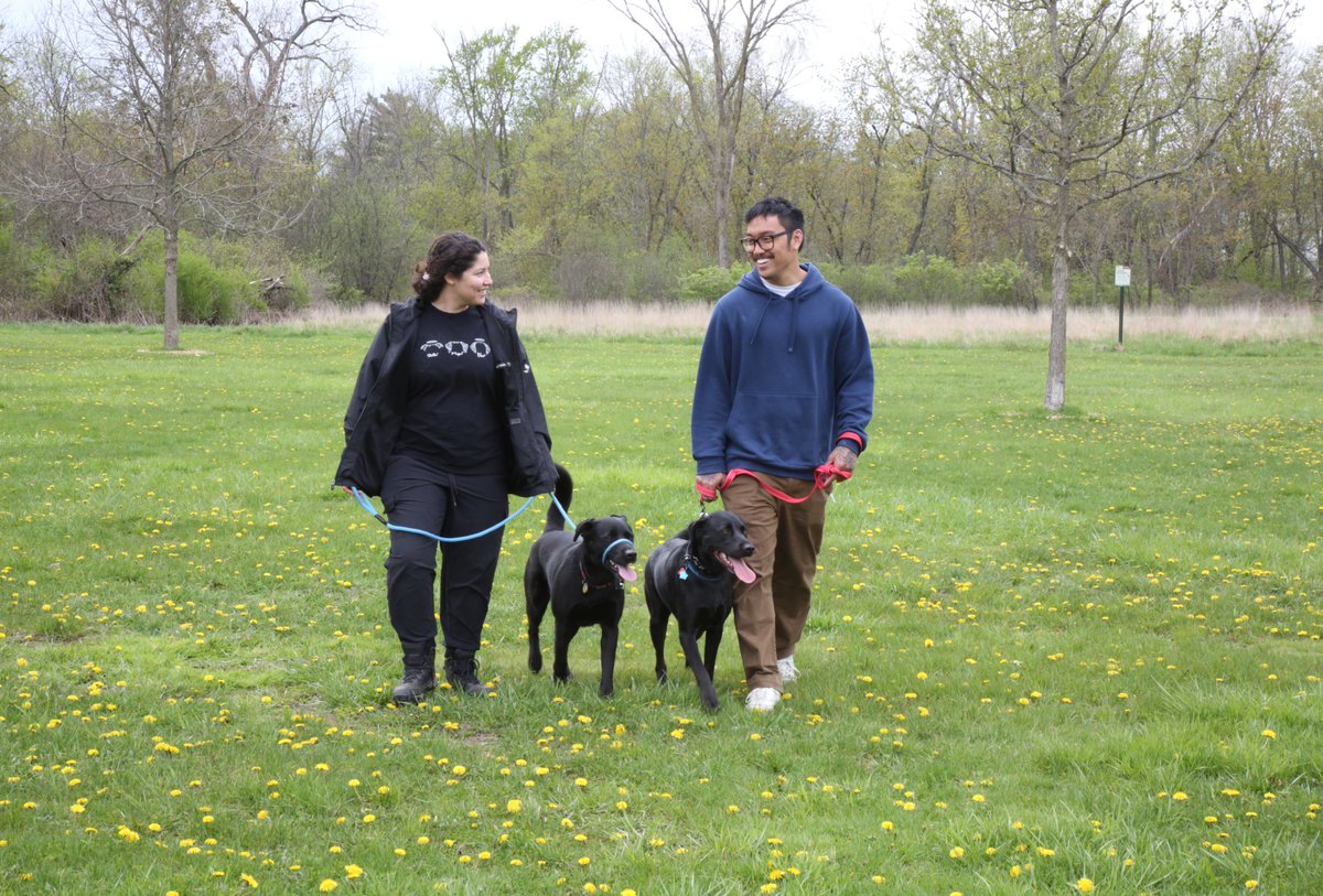 FPDCC's tweet photo. Calling all dog lovers!   

Join us for Doggie Date Night this Friday (3 - 7 pm) at Dan Ryan Woods Visitor Center. 

There will be dog-themed offerings including costume parade, crafts for your furry friends and more.  

For more info: https://t.co/fs7ipDiR98. https://t.co/GrthUfFVP5