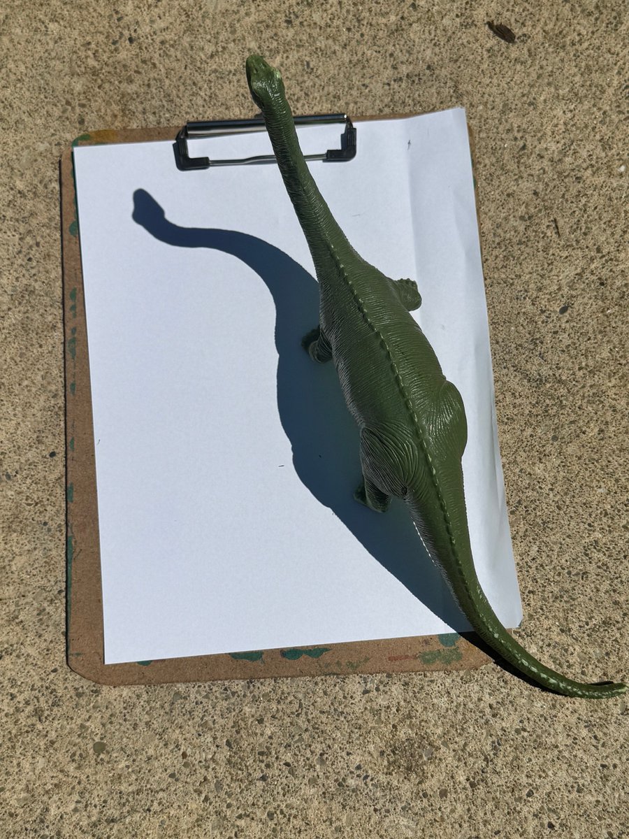 mrsgoodgps's tweet photo. Experimenting with the sun and dinosaurs to create shadows! 🦖🦕☀️ https://t.co/LCqydztWXB