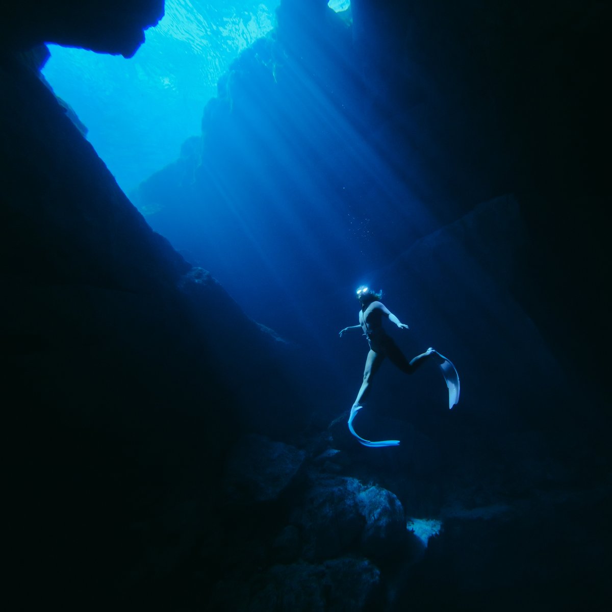 GoPro tweet media