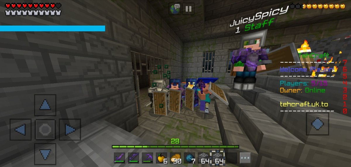 tehcraftsmp's tweet photo. The first Ender Dragon fight ever done on the TehCraft SMP! ⚔️ 

#Minecraft #Gaming https://t.co/pgH1tdiY1D