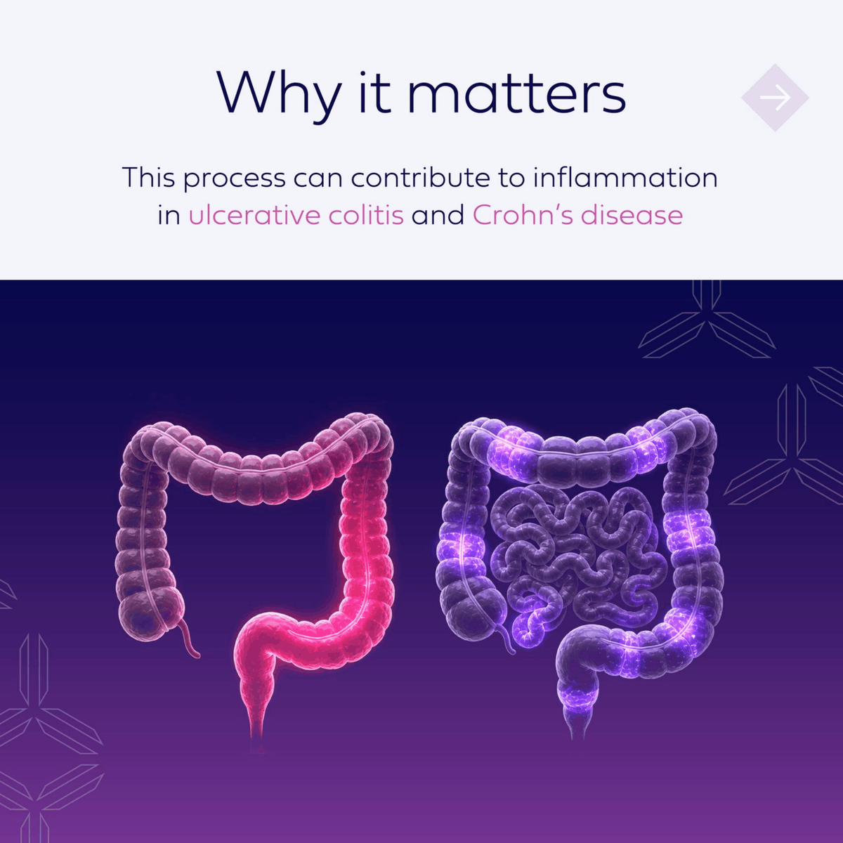 spyretx's tweet photo. α4β7 plays a key role in directing immune cells to the gut and contributing to inflammation in #IBD.

We are investigating SPY001, a long-acting antibody targeting α4β7, as monotherapy and combination therapy in our broader approach to redefine the SOC in IBD. https://t.co/JkxooouTtL