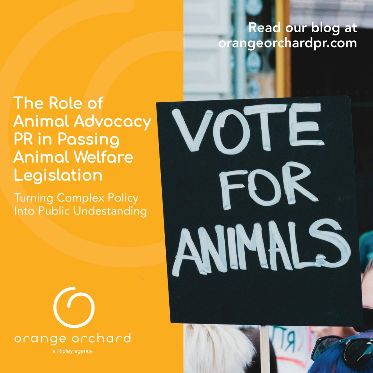 OrangeOrchardPR's tweet photo. Awareness drives action. Animal advocacy PR helps bring visibility and meaningful protection to animals.

Read more here: https://t.co/THJRZCMVd8

#animalwelfare #advocacy #legislation #publicrelations https://t.co/jHQSOY5zb3