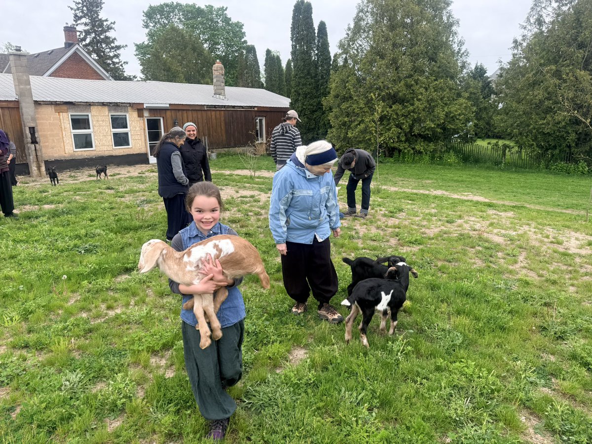 JonMetaverse's tweet photo. Twelve tribes Community, families live and work together, shared property, with a large Farm to support themselves, are living happily and harmoniously in Kingston, Canada. I enjoyed staying with them for about 2 weeks. https://t.co/qJlnjYccRL